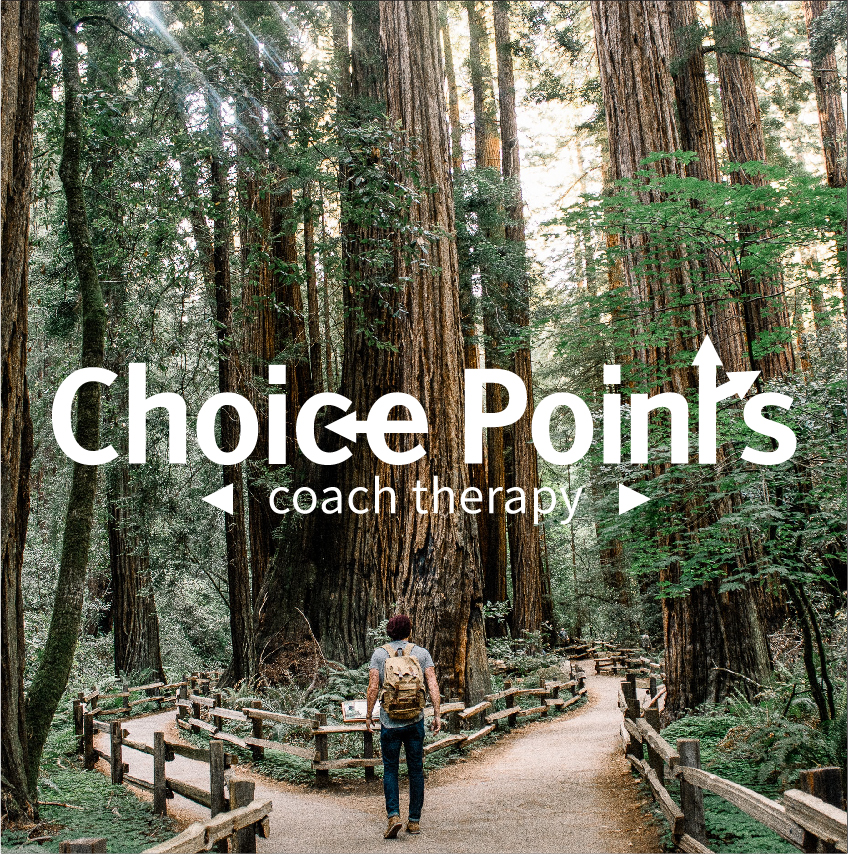 Choice Points