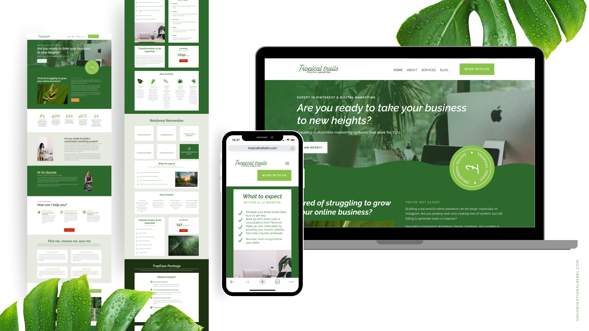 Screen shot of the brand presentation for Tuscan Dreams.